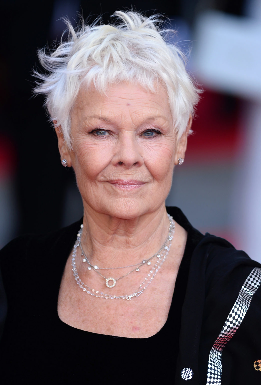 15 Doubts About Judi Dench Hairstyle You Should Clarify | judi dench