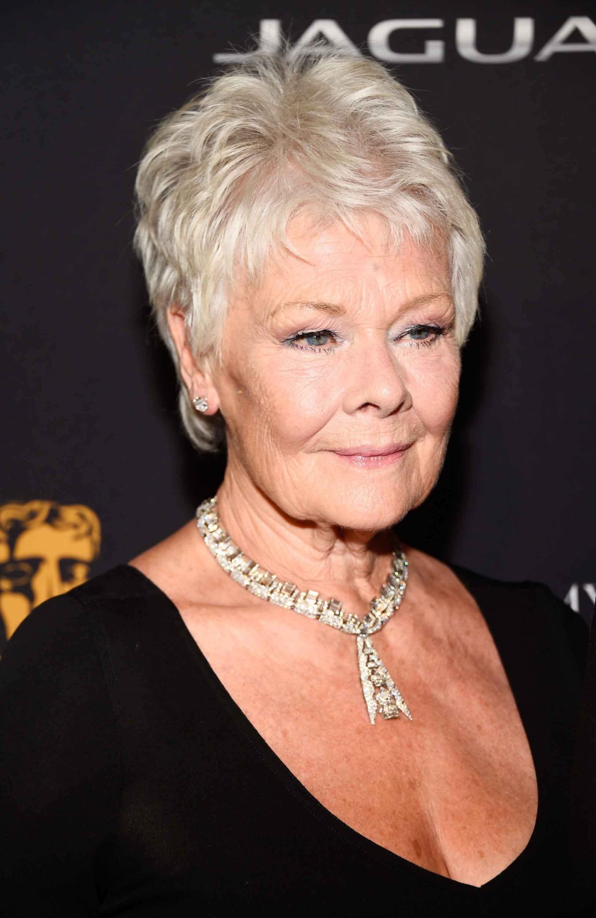 15 Doubts About Judi Dench Hairstyle You Should Clarify judi dench